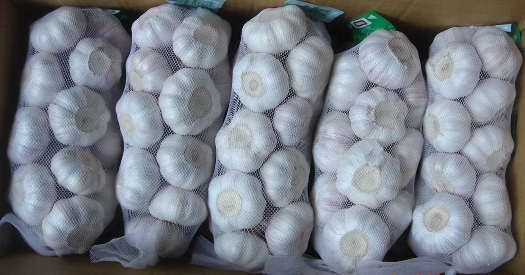 2020 Crop Fresh Sack Export White Garlic with 10kg Carton