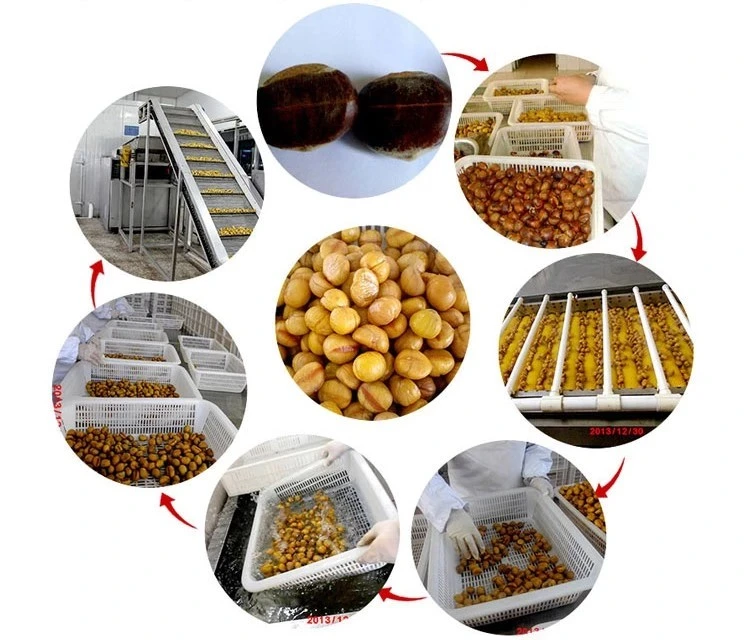Frozen IQF Peeled Roasted Chestnut Kernels China Supplier