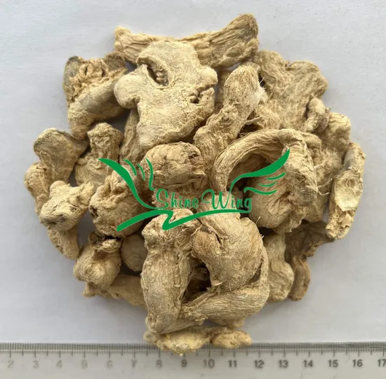 Fresh Shine Yellow Dry Ginger Supplier
