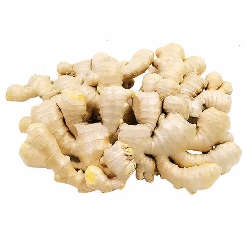 Health Food Fresh Ginger in Small Mesh Bags Gengibre Organic Ginger Fresh Green Ginger