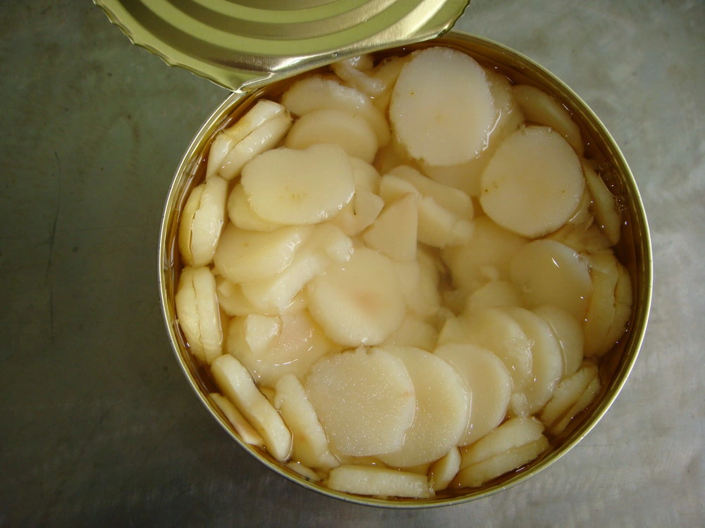 Canned Water Chestnut Whole with Factory Price