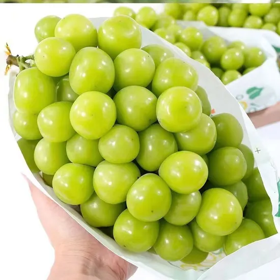 Uvas peladas Bqf de alta calidad, uvas peladas congeladas Bqf, carne de uvas Bqf, carne de uvas congeladas, uvas sin semillas peladas Bqf, pulpa de uvas Bqf, peladas, sin semillas