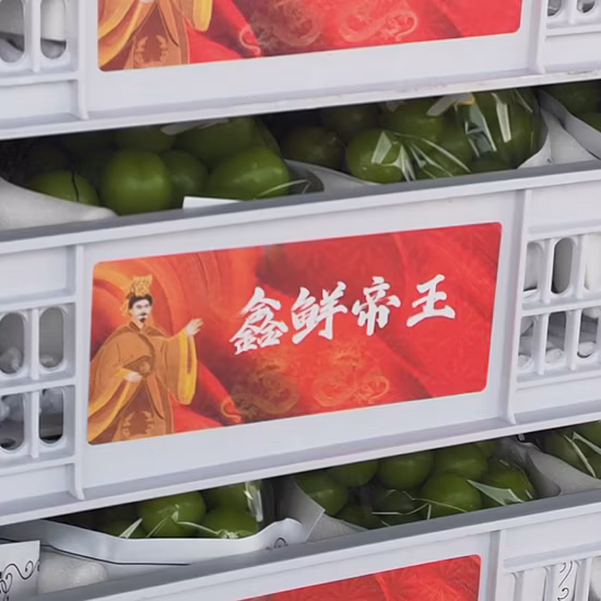 China Shine Muscat Uva Sin Semillas