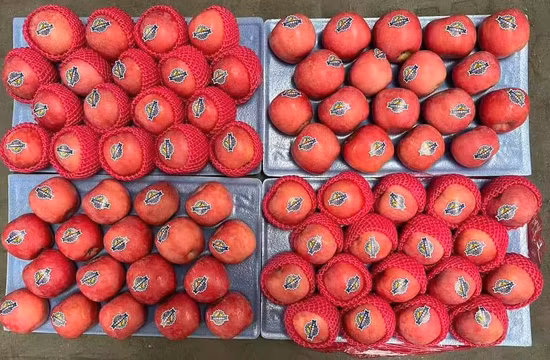 Manzana FUJI fresca y deliciosa de alta calidad
