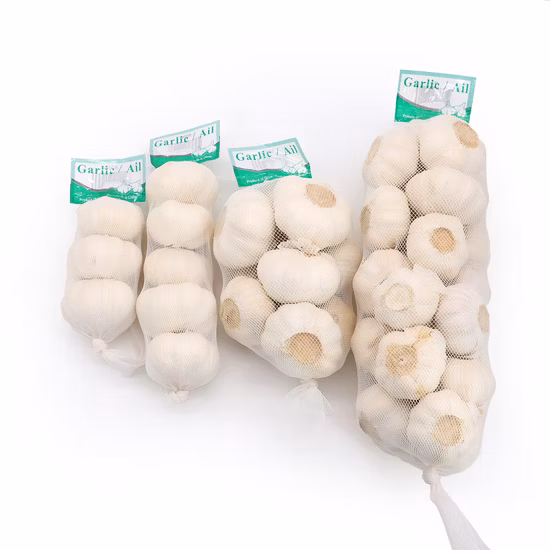 2022 Nuevo cultivo Mejor calidad Fábrica Chino Normal Ajo fresco blanco puro