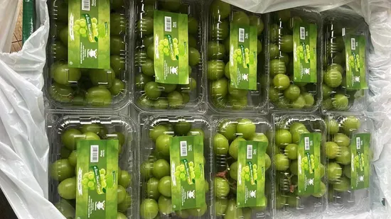 Uvas sin pepitas rojas/verdes moscatel frescas y brillantes para el mercado internacional Thailang Malasia