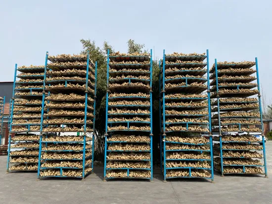 China jengibre jengibre amarillo con buena calidad